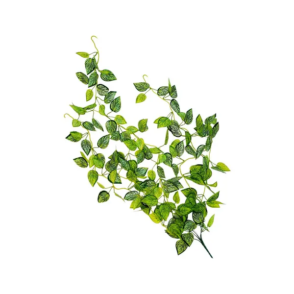 Enredadera Artificial Jardin Vertical Ramo Deco Planta