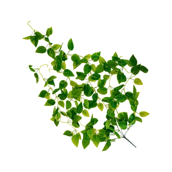 Enredadera Jardin Vertical Ramo Deco Pack X3 Unidades Diseño