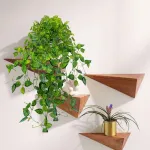 Enredadera Jardin Vertical Ramo Deco Pack X3 Unidades Diseño