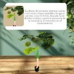 Planta Artificial Grande Monstera 115cm Deco Premium
