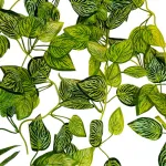 Enredadera Jardin Vertical Ramo Deco Pack X3 Unidades Diseño