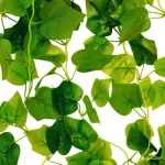 Enredadera Jardin Vertical Ramo Deco Pack X3 Unidades Diseño