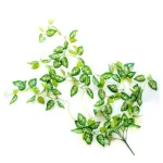 Enredadera Jardin Vertical Ramo Deco Pack X3 Unidades Diseño