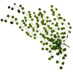 Enredadera Artificial Ramo Jardin Vertical Planta X5