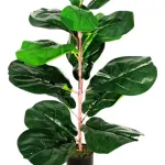 Planta Artificial 60cm Ficus Decoracion Interior Exterior