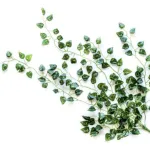 Enredadera Artificial Ramo Jardin Vertical Planta X5