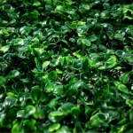 Jardin Vertical Muro Verde X10 Unidades Deco Artificial