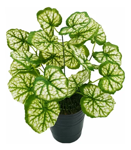 Producto Jardin Vertical Ramo Planta Decoración Artificial X5u Diseño Imagen