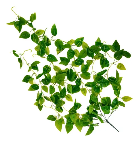 Producto Enredadera Jardin Vertical Ramo Deco Pack X3 Unidades Diseño Imagen